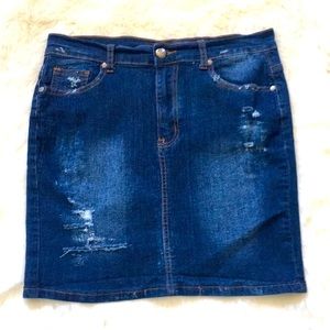AQ Distressed Denim Skirt